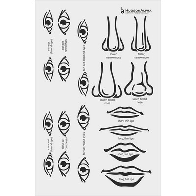 Print And Cut Stencil Template