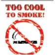 Too Cool To Smoke Stock Temporary Tattoo