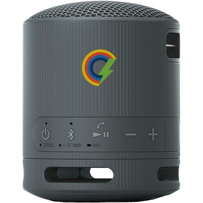 Sony SRS-XB100 Bluetooth Speaker