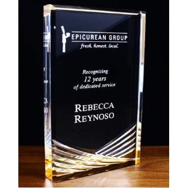 7" Lucite Inspire Award