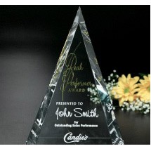 Palisade Award 8"