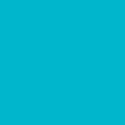 Turquoise Gloss Wrapping Paper (24"x833')