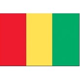 2'x3' Guinea U.N. Nylon Outdoor Flag - Style A