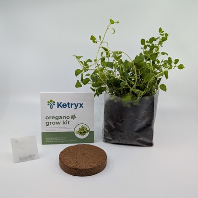 Pocket Garden | Complete Grow Kit | Eco-Friendly & Stackable | Perfect for Handouts