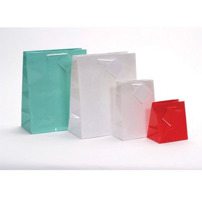 Small Glossy Tote Bags