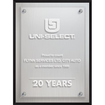 Econo Series Frosted Aluminum Plaque (6"x 8") Laser Engraved
