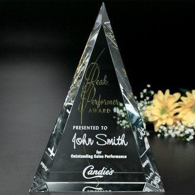 Palisade Award 10"