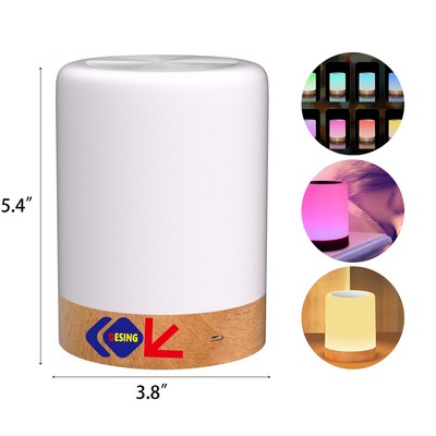 Night Light Touch Lamp for Bedrooms Living Room Portable Table Bedside Lamps
