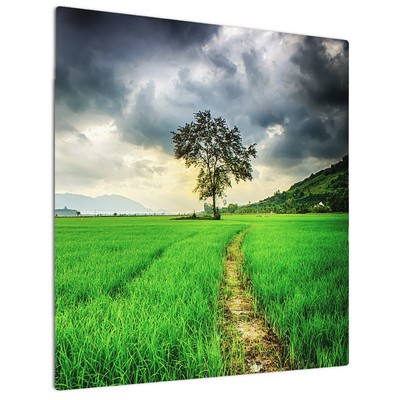 Max Metal - 3mm - Single Sided