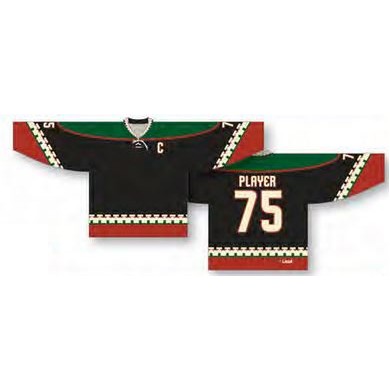 Arizona Coyotes NHL Inspired Hockey Jersey