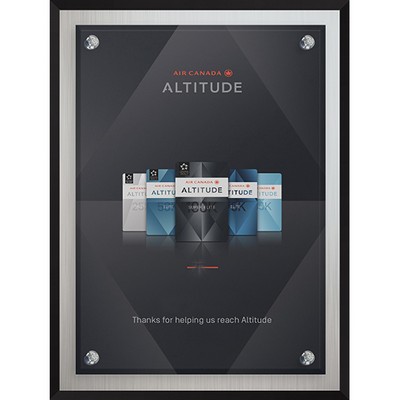 Econo Series Frosted Aluminum Plaque (6"x 8") (PhotoImage)