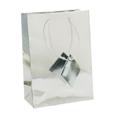 Medium Metallic Silver Bag
