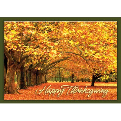 Canopy of Gold Thanksgiving Cards