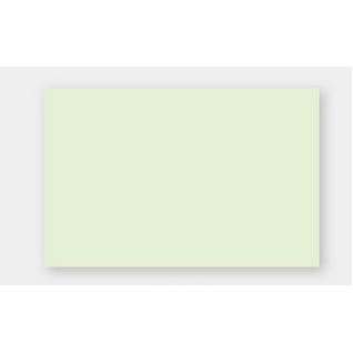 Single Plastic Menu (17"x 11")