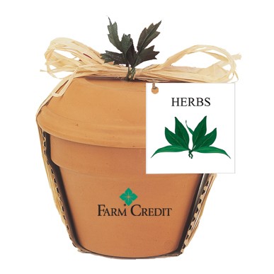 Deluxe Plant Kit w/Herb Seeds