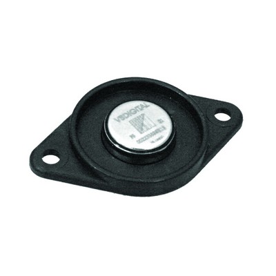 Gs3000 Guardscan Tag & Holder