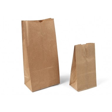 Stand Up Plain Brown Kraft Paper Merchandise Bag (8 1/4"x5 1/4"x16 1/8")